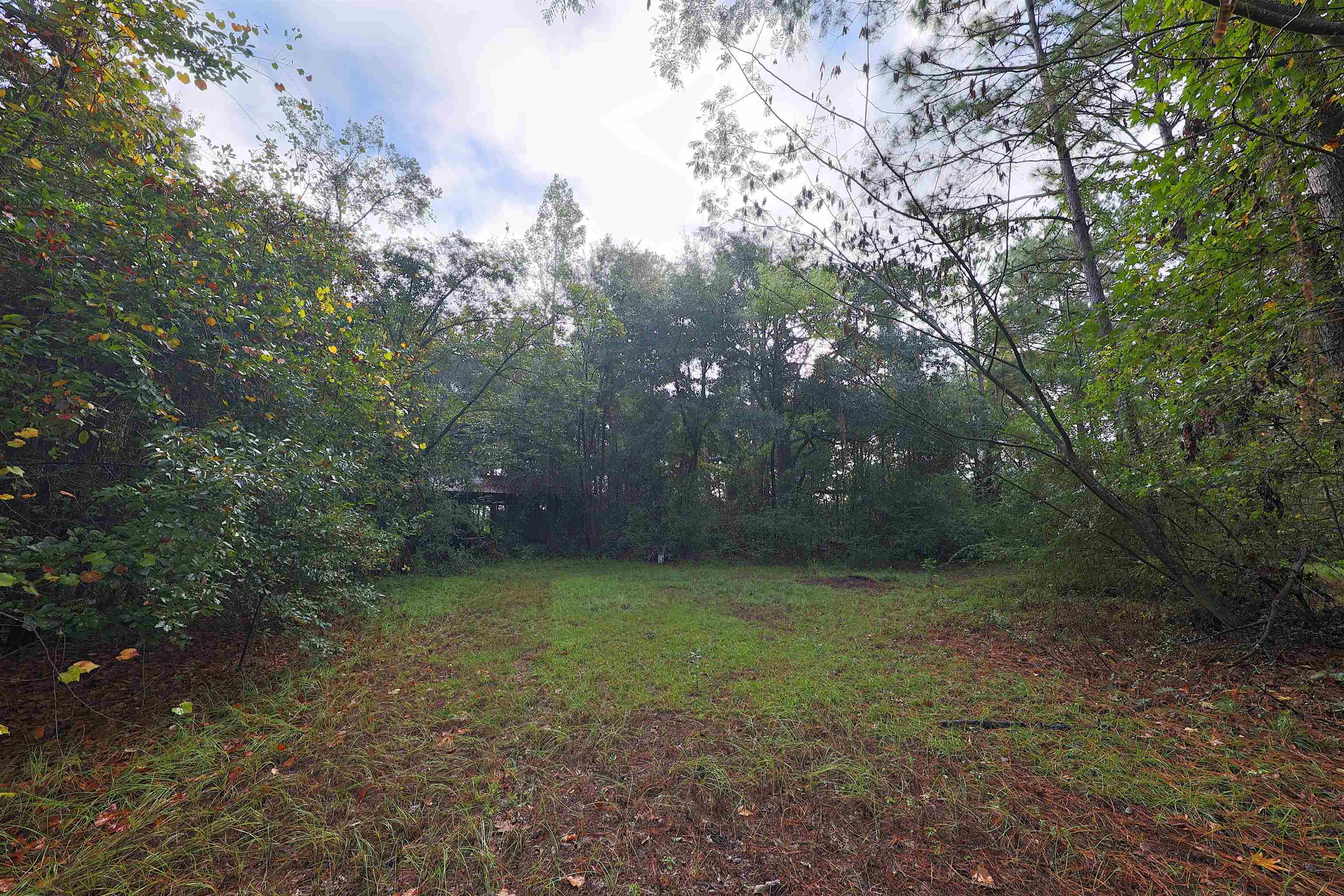 23481 Highway 19 Ochlocknee, GA 31773 - Photo 6 of 26