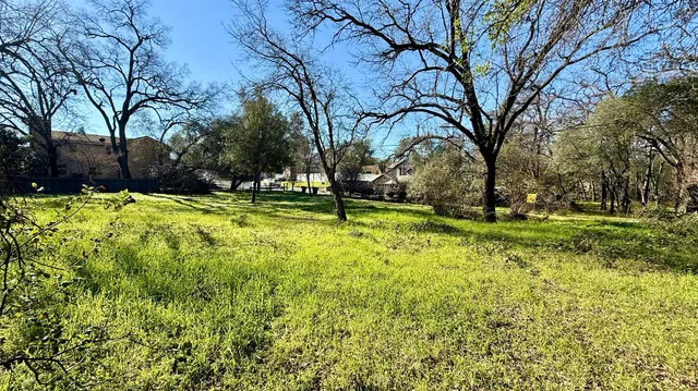 a view of a park with large trees