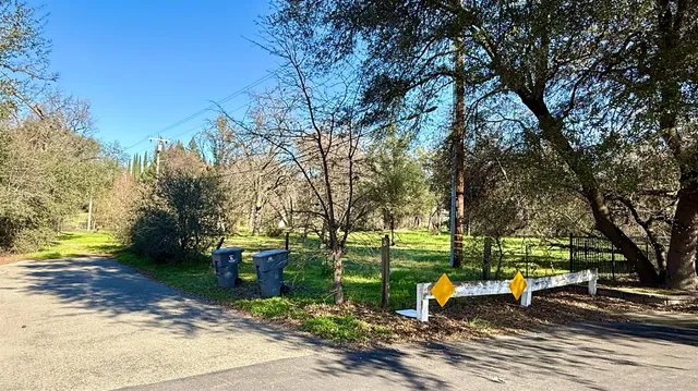 a view of outdoor space with garden and trees