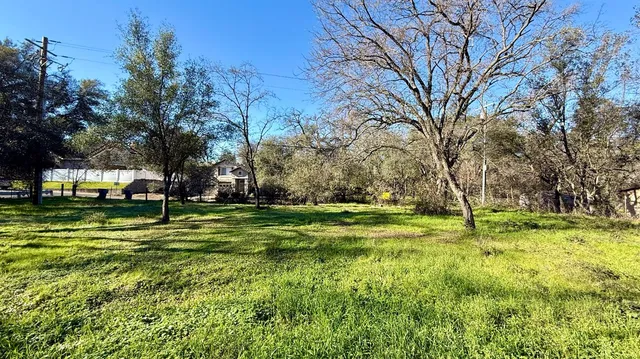 a view of a park with large trees