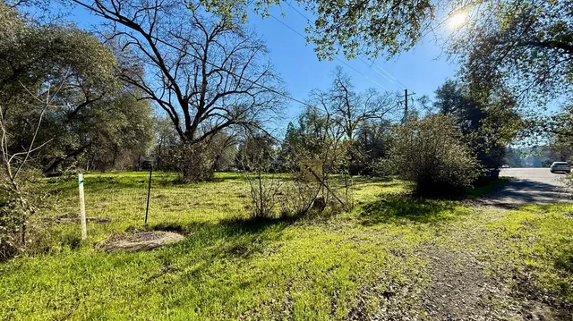 a view of a park with large trees