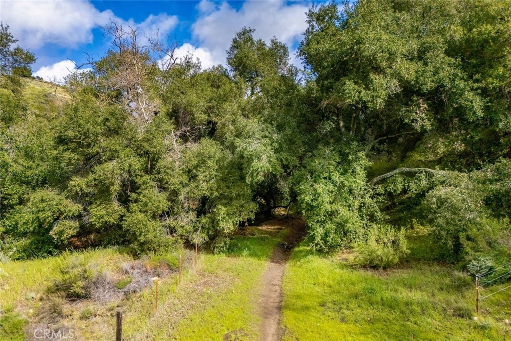 1825 Hi Mountain Road Arroyo Grande, CA 93420 - Photo 54 of 74