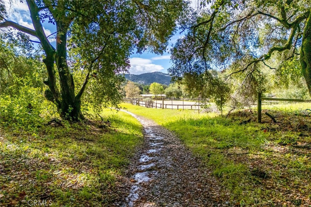 1825 Hi Mountain Road Arroyo Grande, CA 93420 - Photo 55 of 74 a view of a yard with an trees