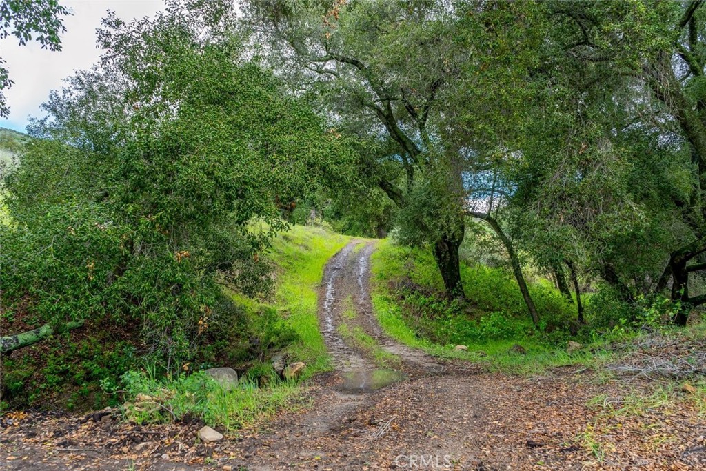 1825 Hi Mountain Road Arroyo Grande, CA 93420 - Photo 59 of 74 a view of a park with large trees