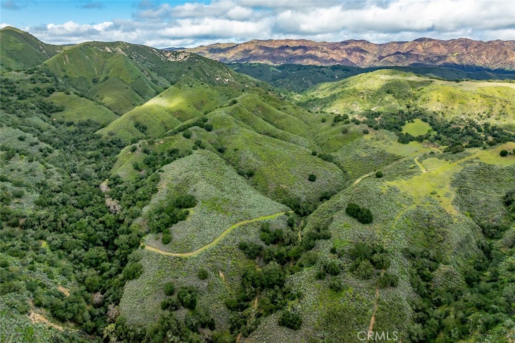 1825 Hi Mountain Road Arroyo Grande, CA 93420 - Photo 65 of 74 a view of a lush green forest with lots of trees