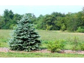 Lot 19 West Lawson Road Bloomington, IN 47404 - Photo 1 of 4 Gallery Image 1