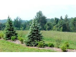 Lot 19 West Lawson Road Bloomington, IN 47404 - Photo 4 of 4 Gallery Image 4