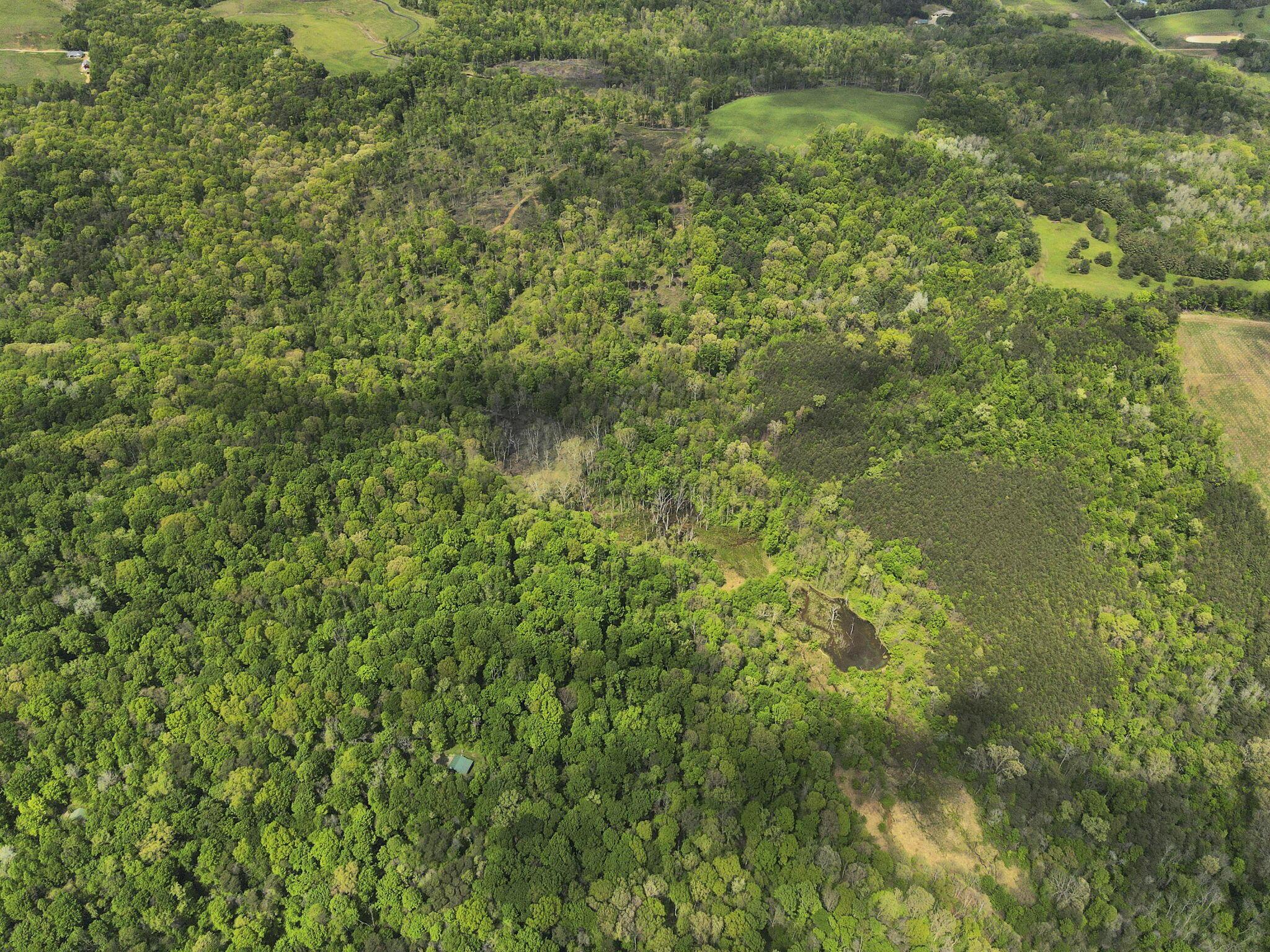 29500 Fairview Ridge Road Logan, OH 43138 - Photo 21 of 73 22-web-or-mls-DJI_0590