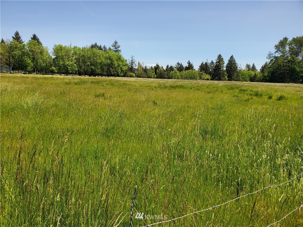 1049 Spencer Road Toledo, WA 98591 - Photo 2 of 14