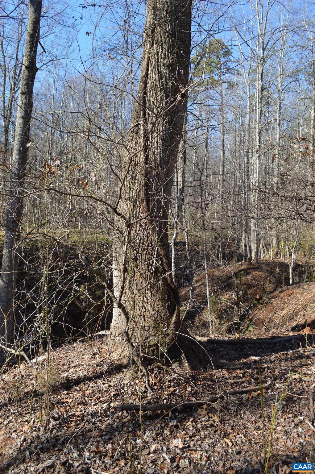 Frays Ridge, Unit 37 Earlysville, VA 22936 - Photo 13 of 18