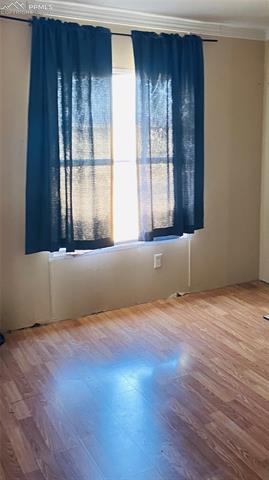 17610 Hanover Road Colorado Springs, CO 80928 - Photo 5 of 16 Empty room with wood-type flooring
