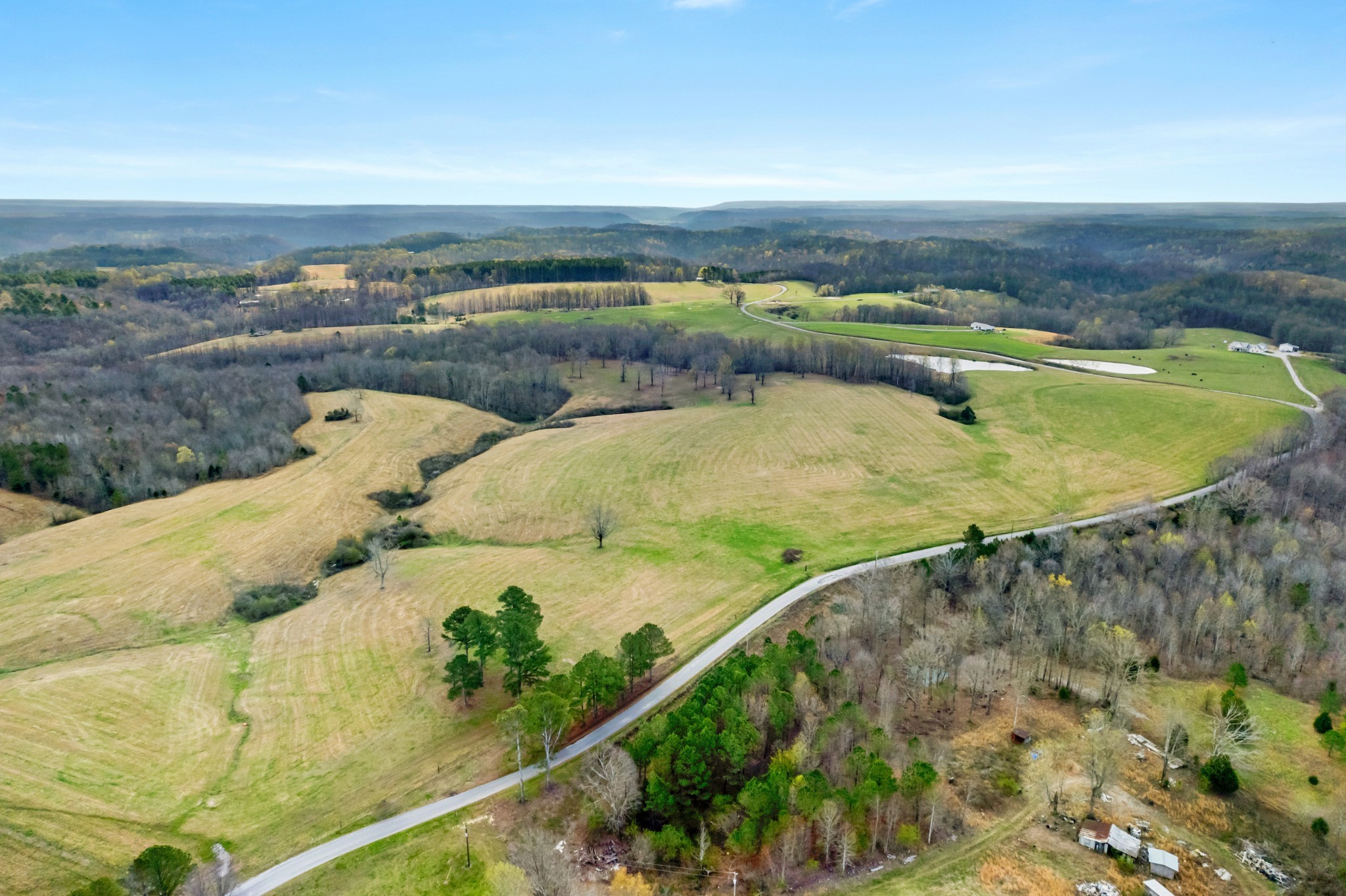 a view of swimming pool with a yard