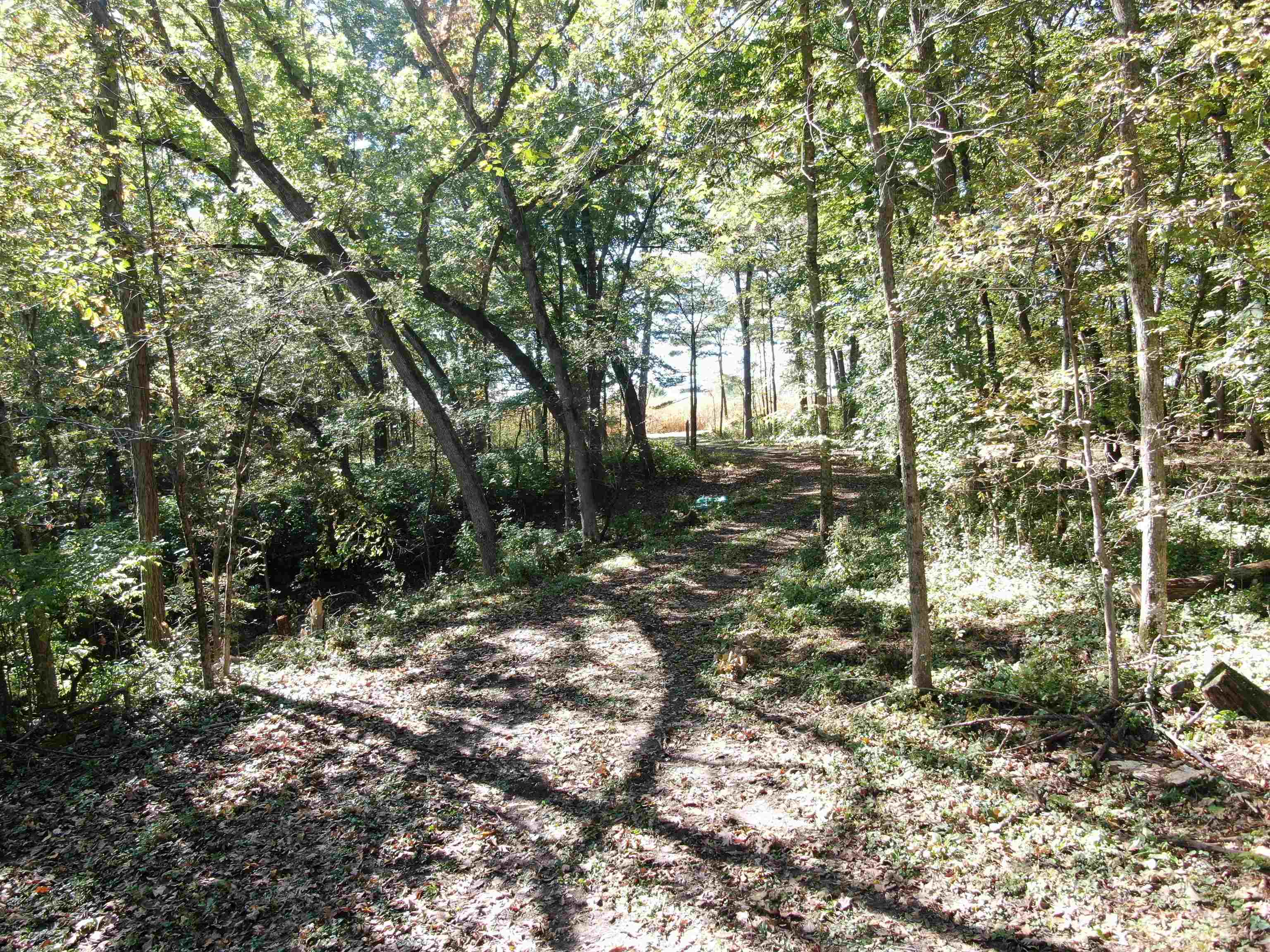 S1974 County Highway Baraboo, WI 53913 - Photo 11 of 44