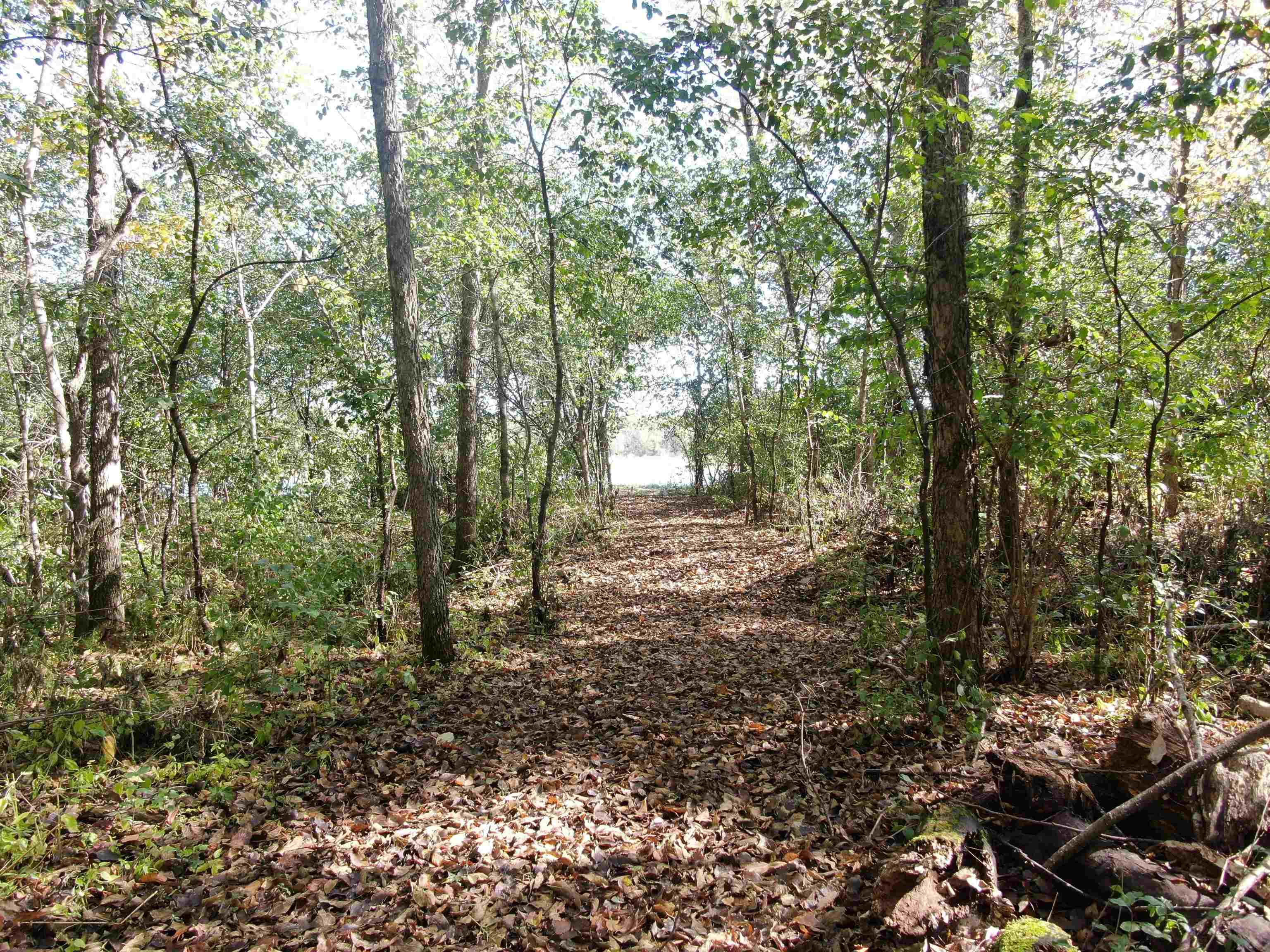 S1974 County Highway Baraboo, WI 53913 - Photo 15 of 44