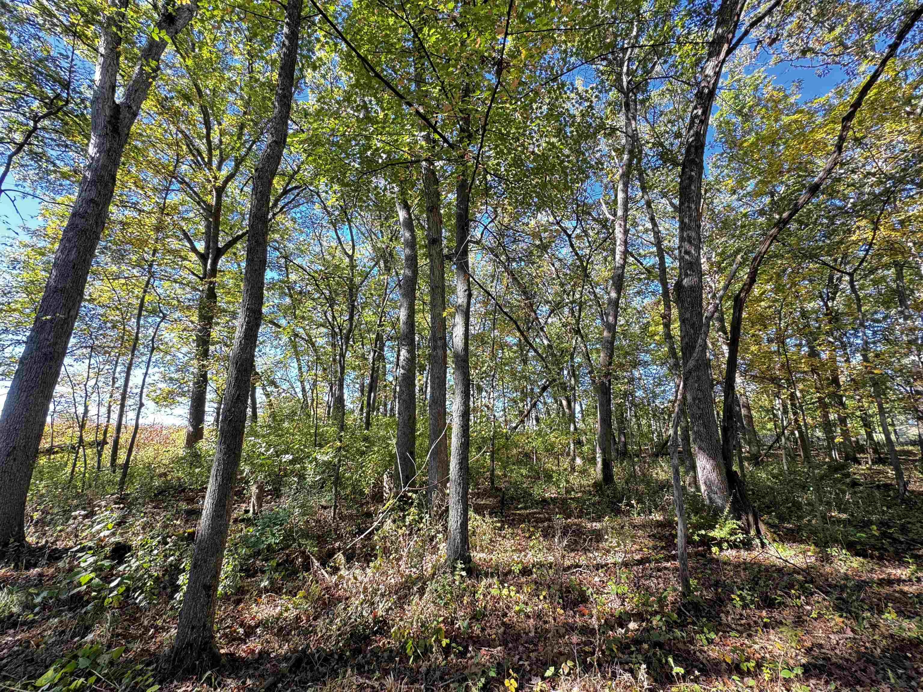 S1974 County Highway Baraboo, WI 53913 - Photo 20 of 44