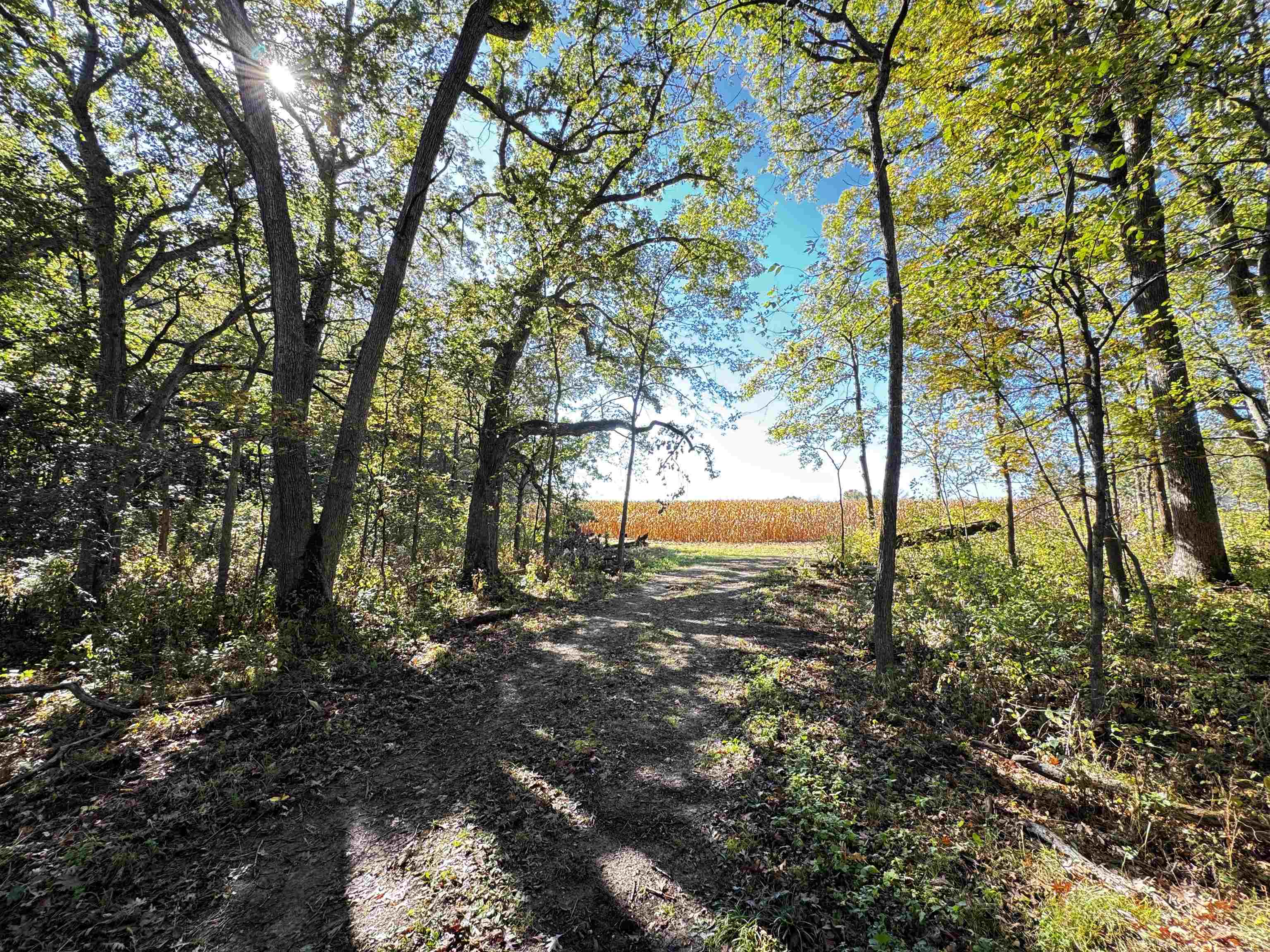 S1974 County Highway Baraboo, WI 53913 - Photo 21 of 44