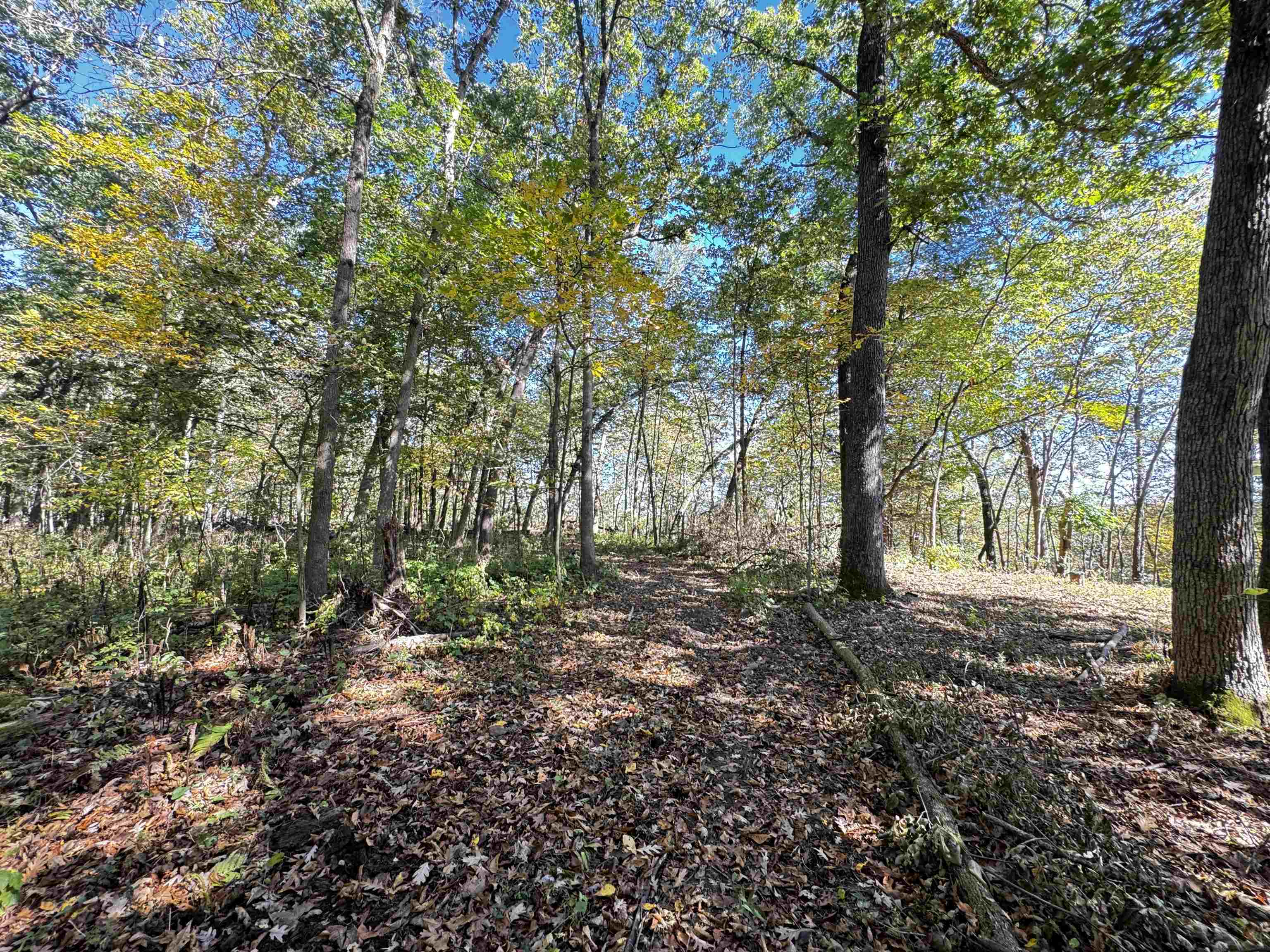 S1974 County Highway Baraboo, WI 53913 - Photo 23 of 44