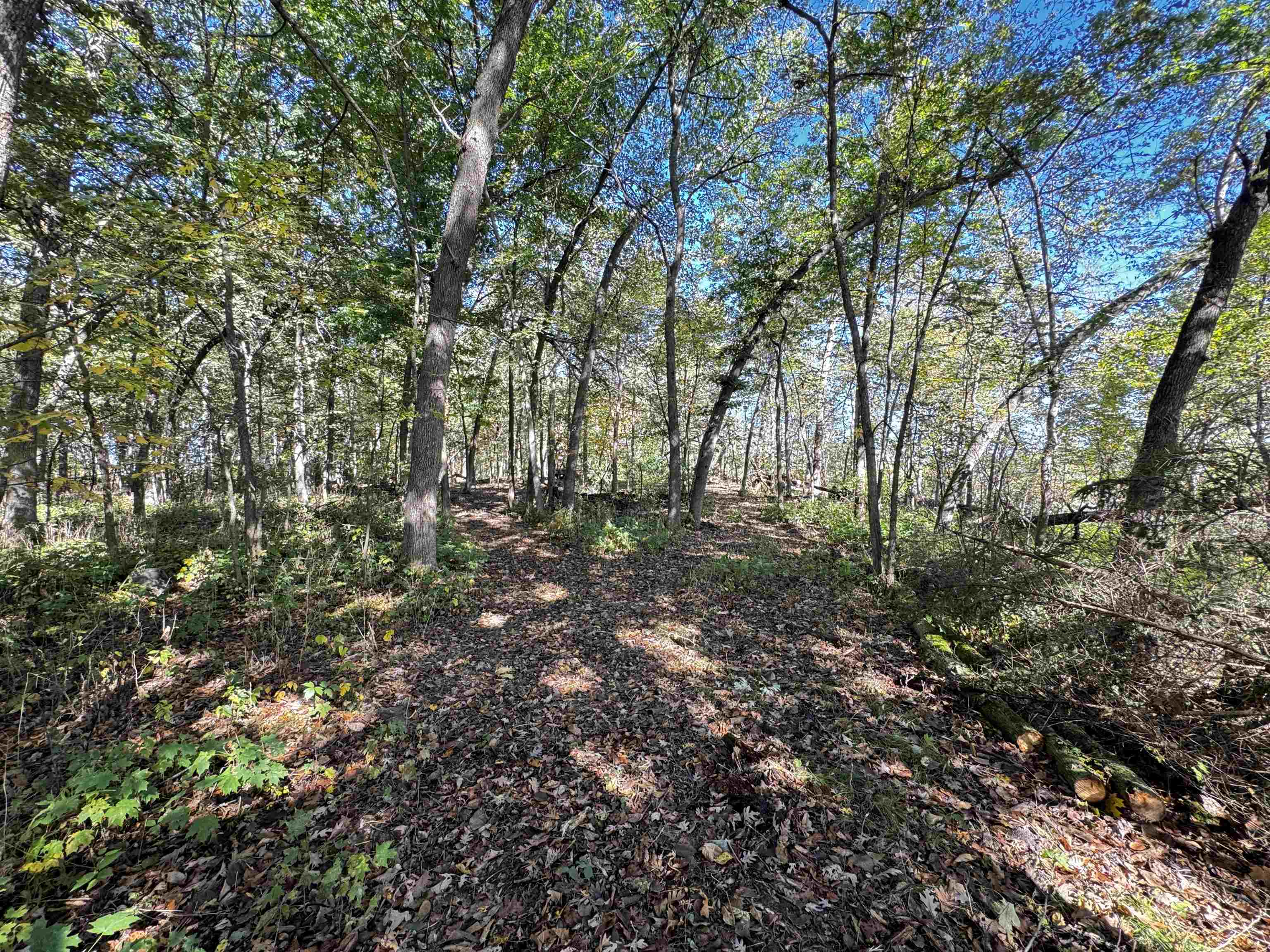 S1974 County Highway Baraboo, WI 53913 - Photo 25 of 44