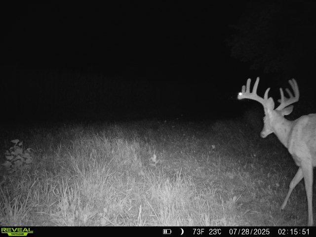 S1974 County Highway Baraboo, WI 53913 - Photo 26 of 44