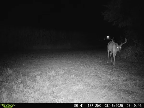 $999,900 | S1974 County Highway, Baraboo, WI 53913