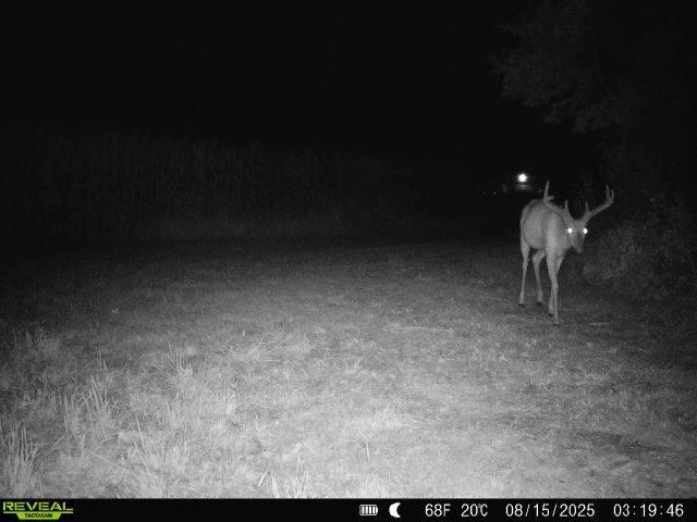 S1974 County Highway Baraboo, WI 53913 - Photo 38 of 44