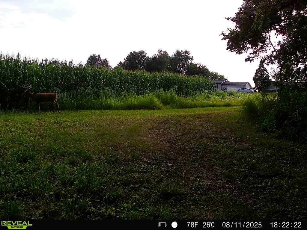 S1974 County Highway Baraboo, WI 53913 - Photo 39 of 44