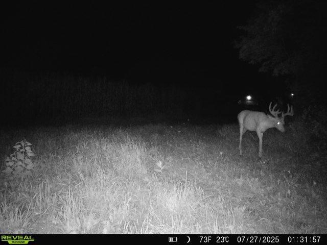 S1974 County Highway Baraboo, WI 53913 - Photo 40 of 44