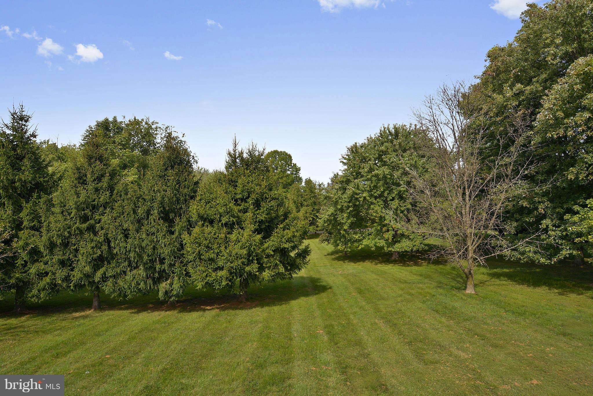 15737 Holly Grove Road Silver Spring, MD 20905 - Photo 22 of 30 View from upper level