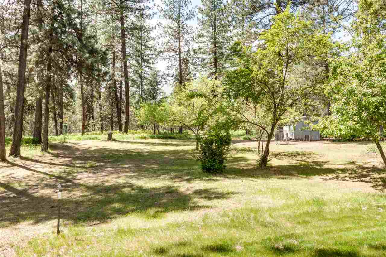20611 North Cedar Road Colbert, WA 99005 - Photo 18 of 20