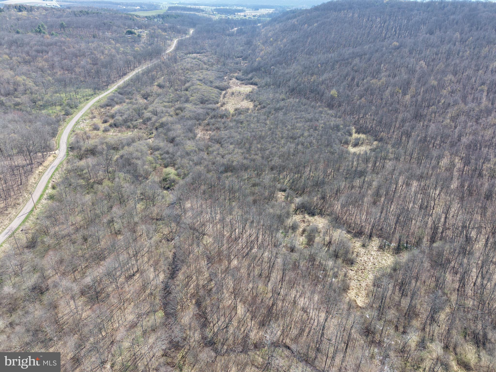 129-acres Black Hollow Road Schellsburg, PA 15559 - Photo 15 of 72 a close view of tap