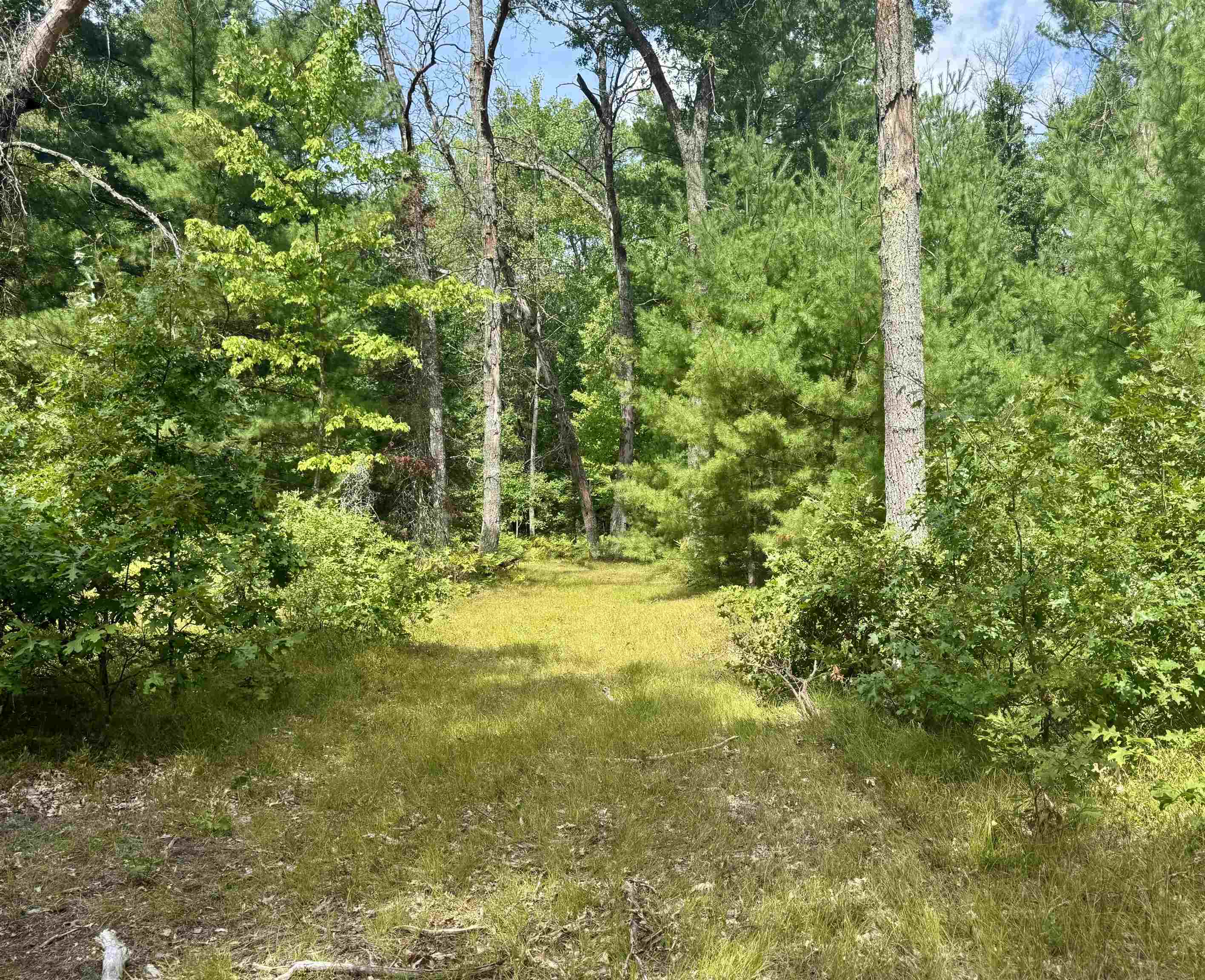 4105 North Strawberry Road Harrison, MI 48625 - Photo 33 of 63