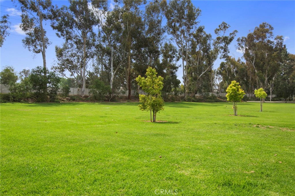 86 Clearbrook, Unit 33 Irvine, CA 92614 - Photo 18 of 20 a view of a park