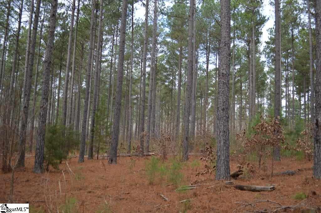 Poplar Springs Road Ware Shoals, SC 29692 - Photo 2 of 21