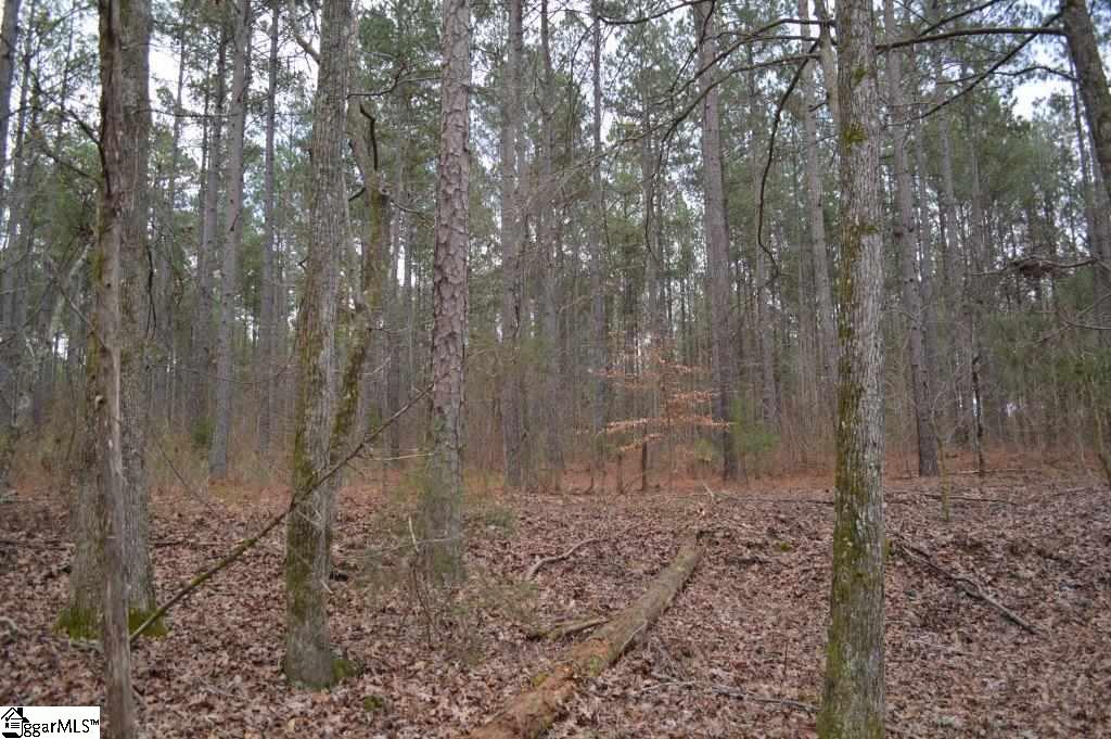 Poplar Springs Road Ware Shoals, SC 29692 - Photo 11 of 21