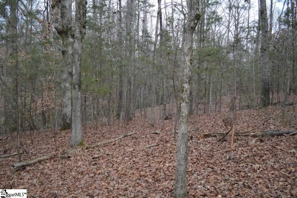 Poplar Springs Road Ware Shoals, SC 29692 - Photo 12 of 21