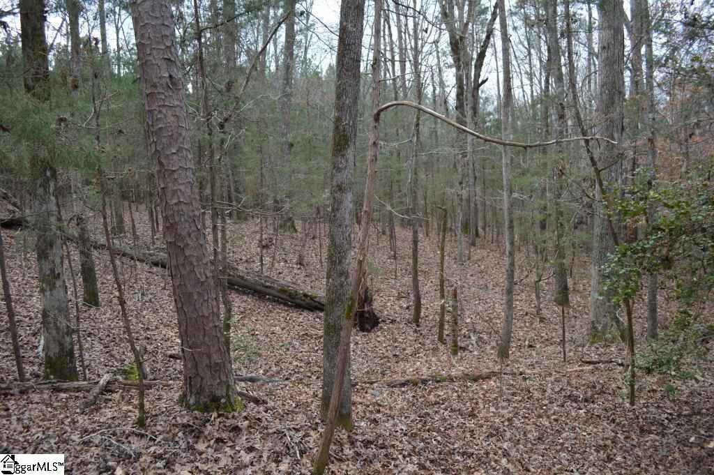 Poplar Springs Road Ware Shoals, SC 29692 - Photo 13 of 21