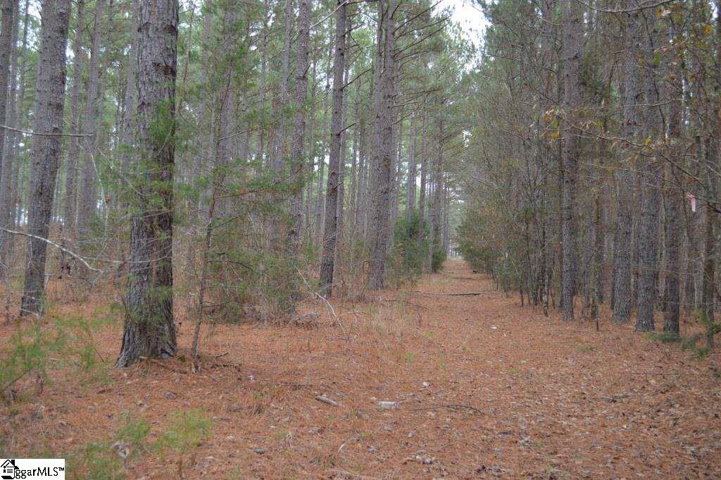 Poplar Springs Road Ware Shoals, SC 29692 - Photo 14 of 21