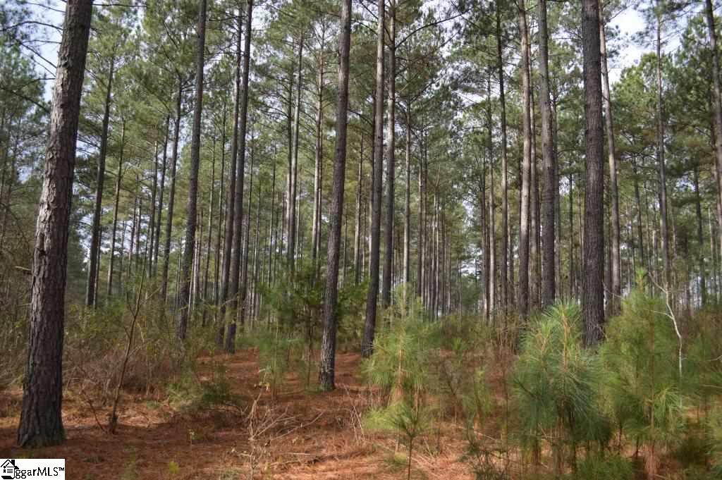 Poplar Springs Road Ware Shoals, SC 29692 - Photo 15 of 21