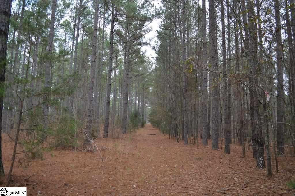 Poplar Springs Road Ware Shoals, SC 29692 - Photo 3 of 21