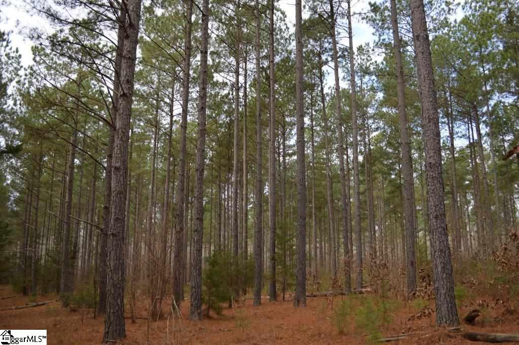 Poplar Springs Road Ware Shoals, SC 29692 - Photo 4 of 21