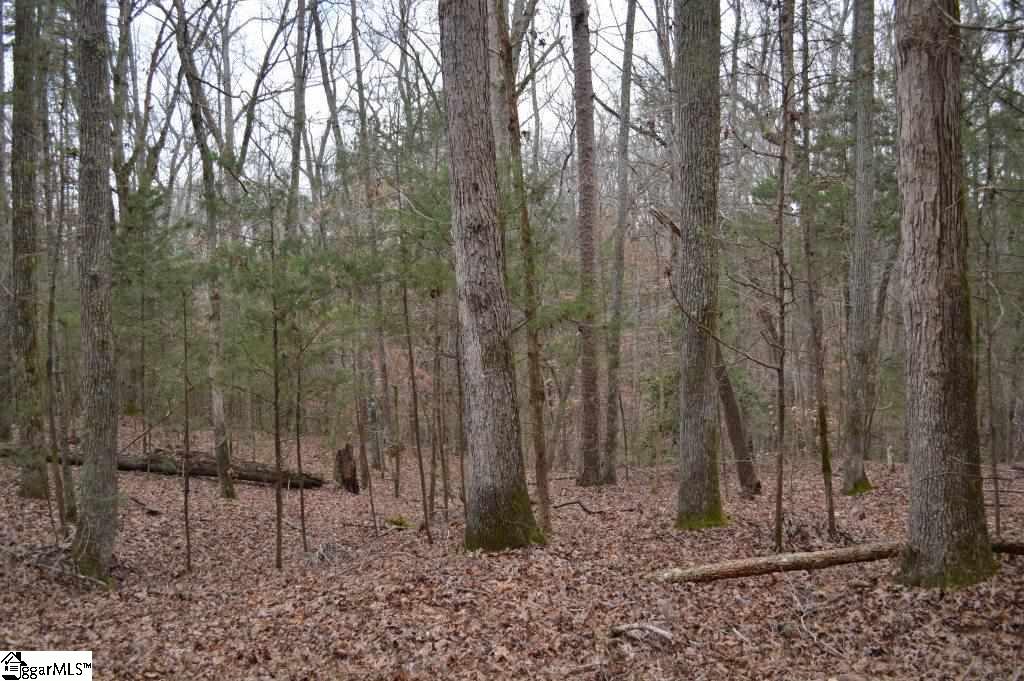 Poplar Springs Road Ware Shoals, SC 29692 - Photo 5 of 21
