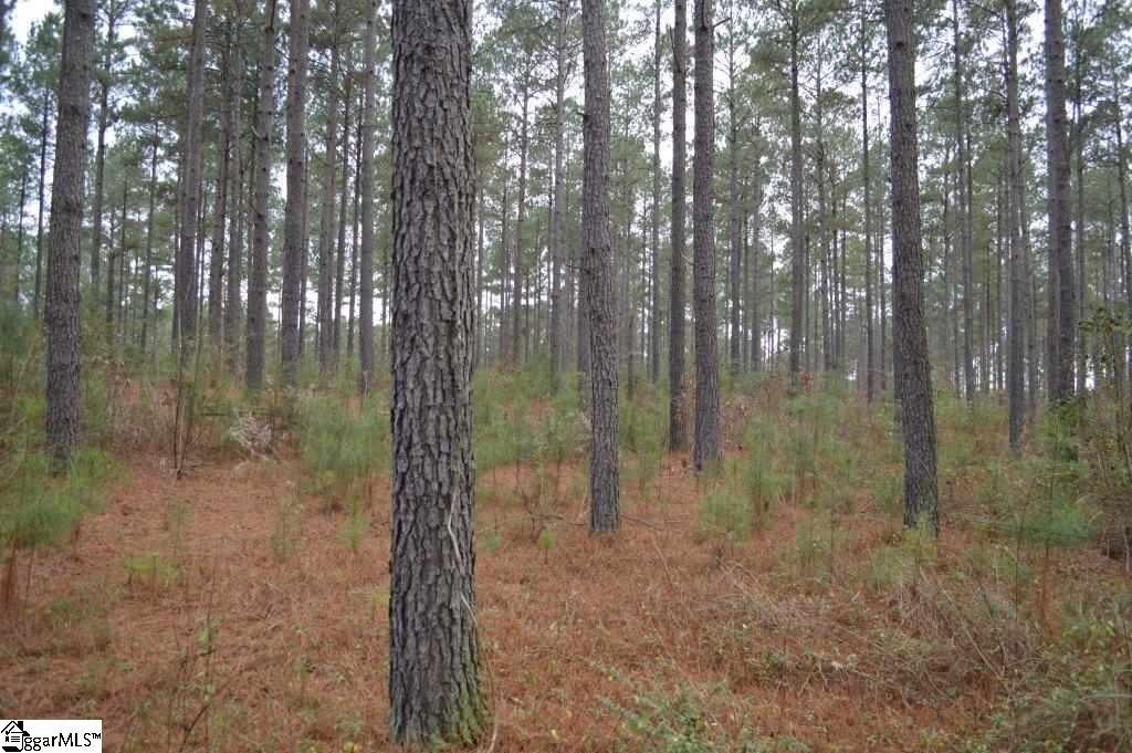 Poplar Springs Road Ware Shoals, SC 29692 - Photo 7 of 21
