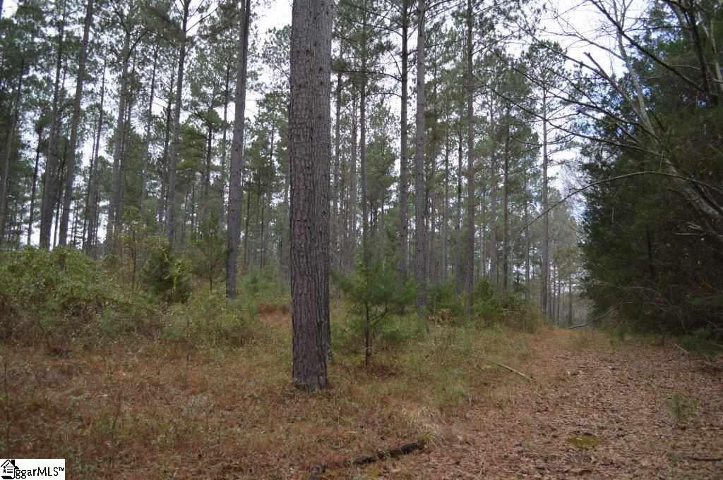 Poplar Springs Road Ware Shoals, SC 29692 - Photo 8 of 21