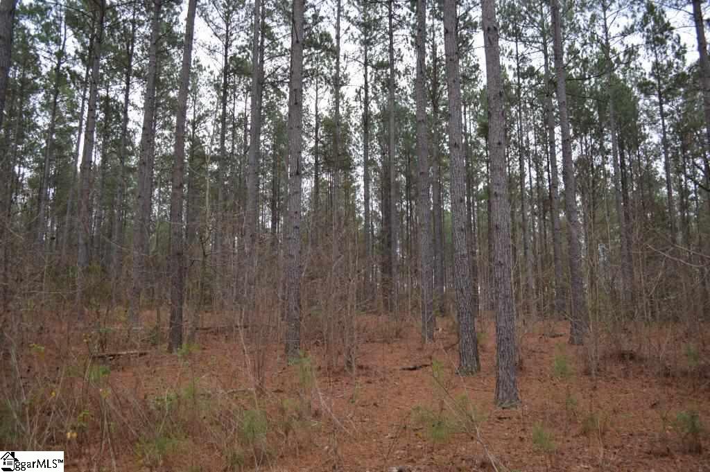 Poplar Springs Road Ware Shoals, SC 29692 - Photo 9 of 21