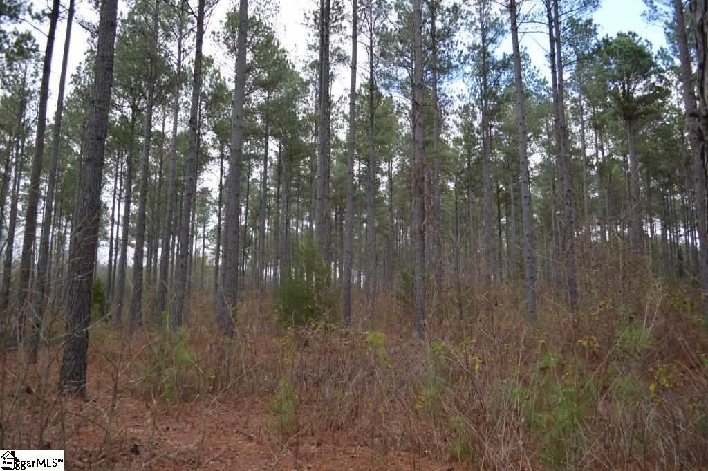 Poplar Springs Road Ware Shoals, SC 29692 - Photo 10 of 21