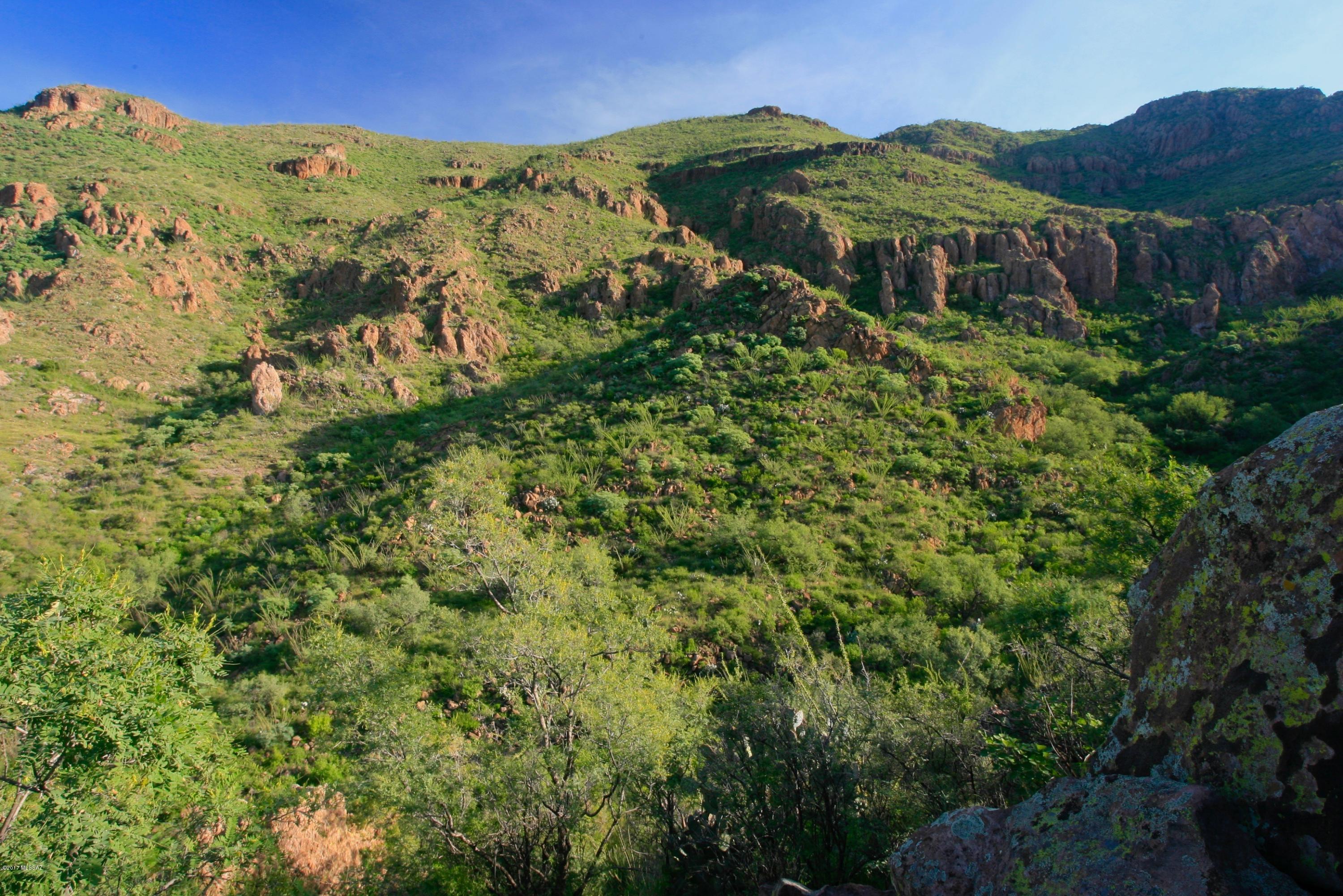88 Salida Spring Way, Unit 122 Rio Rico, AZ 85648 - Photo 1 of 19