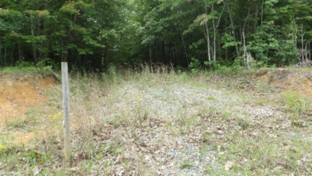 0 Parkstown Extension Wilder, TN 38589 - Photo 20 of 35 a view of backyard with green space