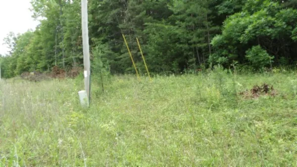 a view of outdoor space and yard