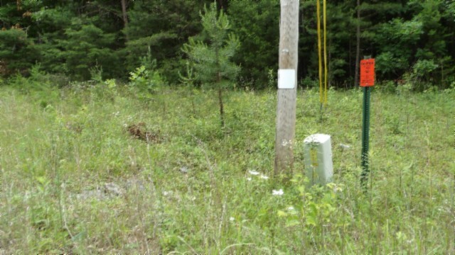 0 Parkstown Extension Wilder, TN 38589 - Photo 26 of 35 a backyard of a house with lots of green space and plants