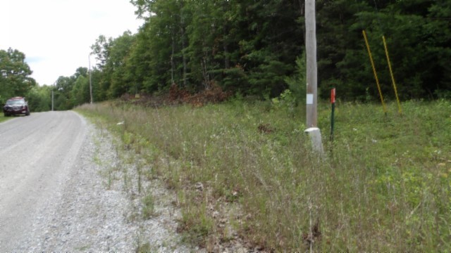 0 Parkstown Extension Wilder, TN 38589 - Photo 31 of 35 a view of a yard
